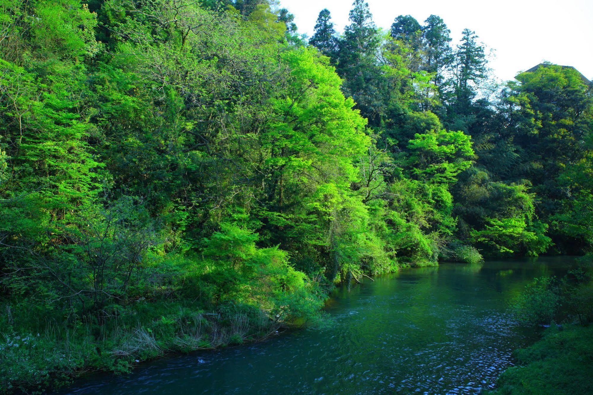 Yamanakaonsen Ohanami Kyubei Kaga  Dış mekan fotoğraf